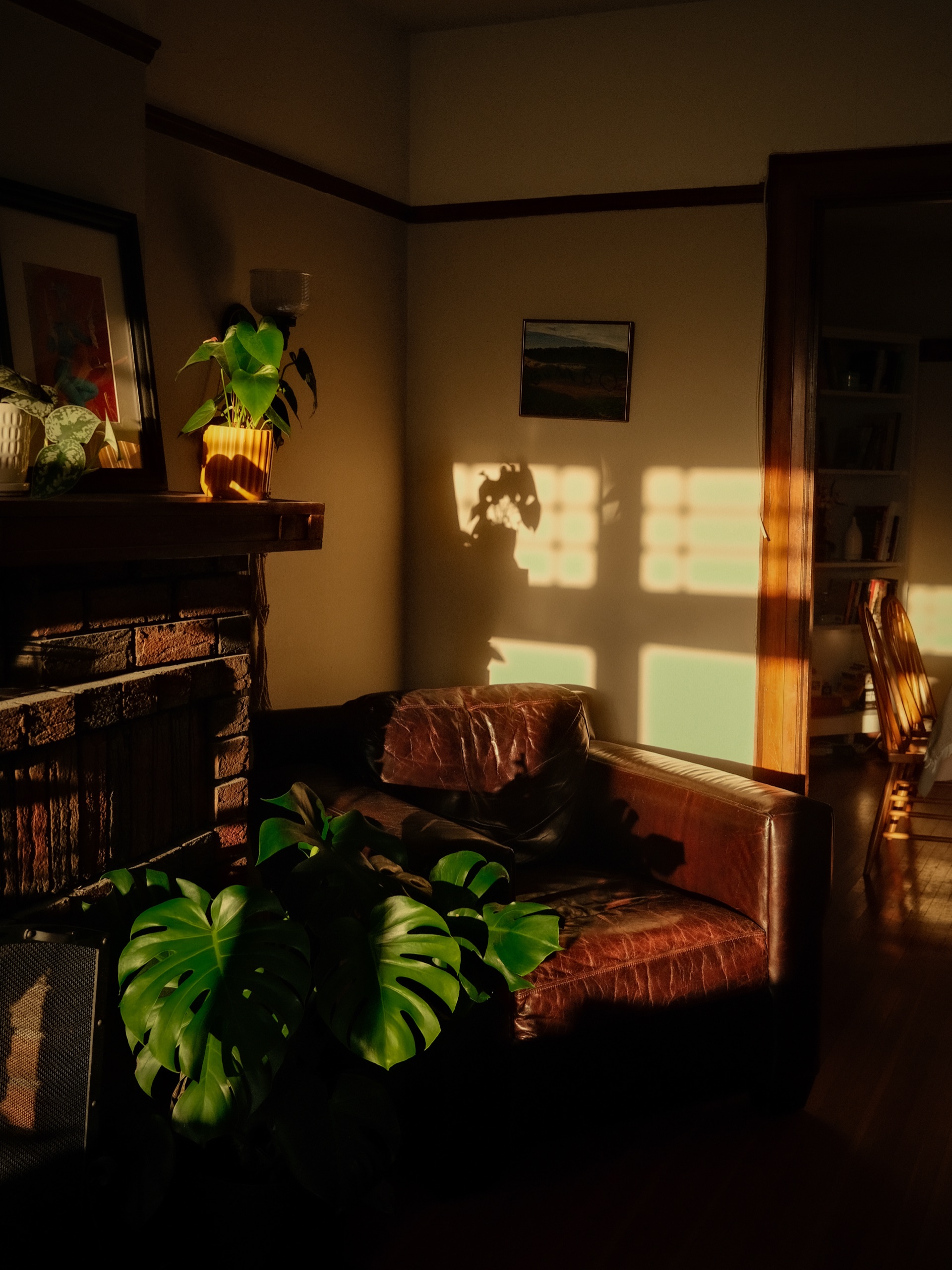 Misty countryside landscape — boutique hotel and commercial photographer Carla Parietti, Ontario