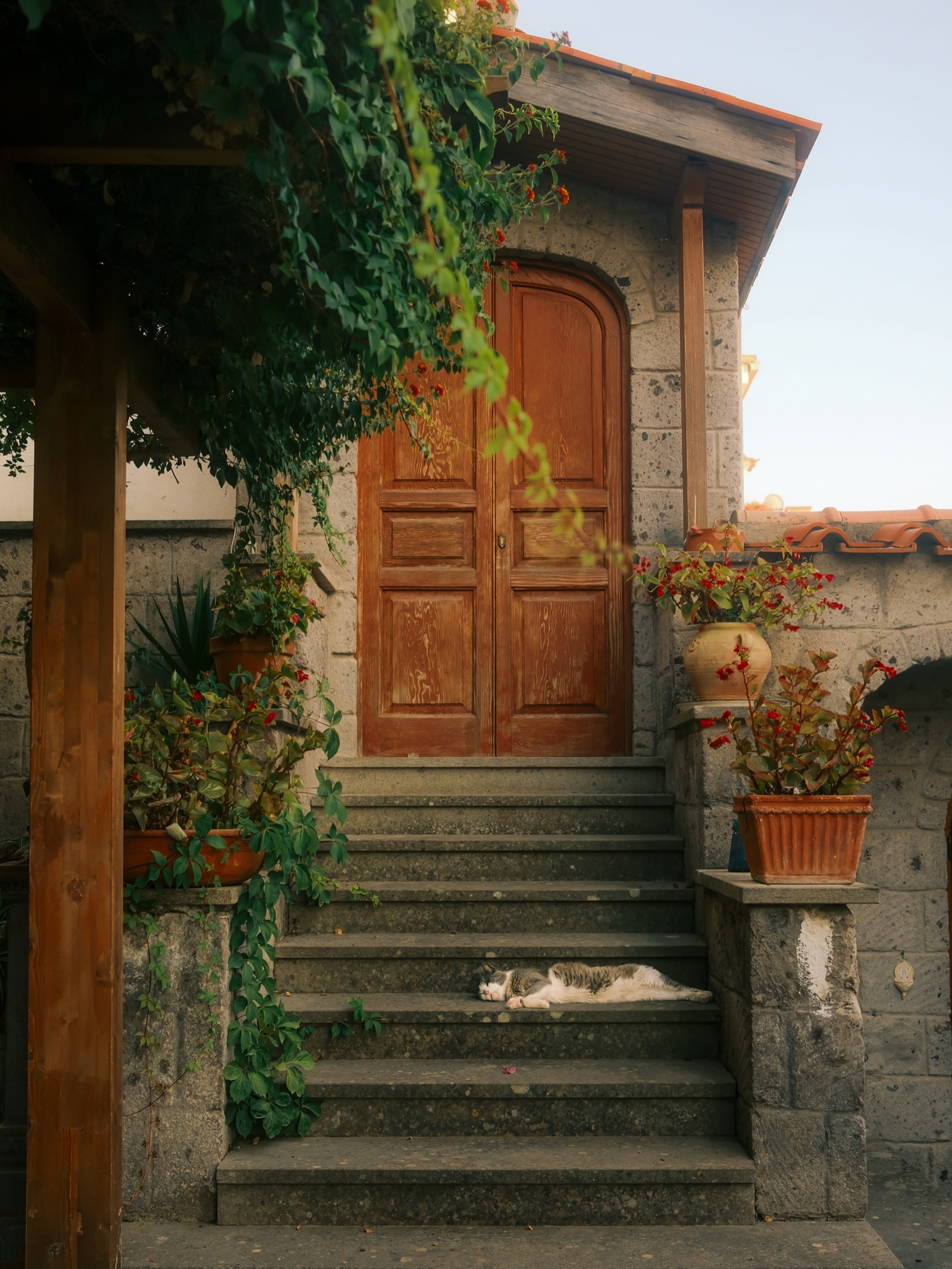 Interior of a boutique hotel — natural light and atmosphere, by commercial photographer Carla Parietti