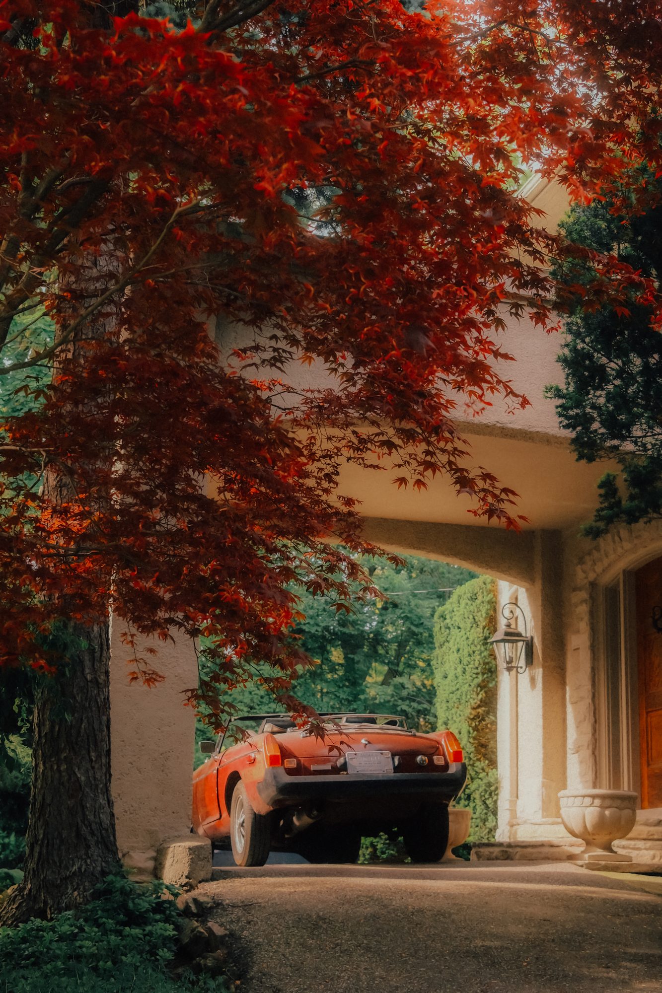 No. 2 — The Porte-Cochère, portrait photograph of a Japanese maple and vintage orange car framed by a stone entrance, Toronto