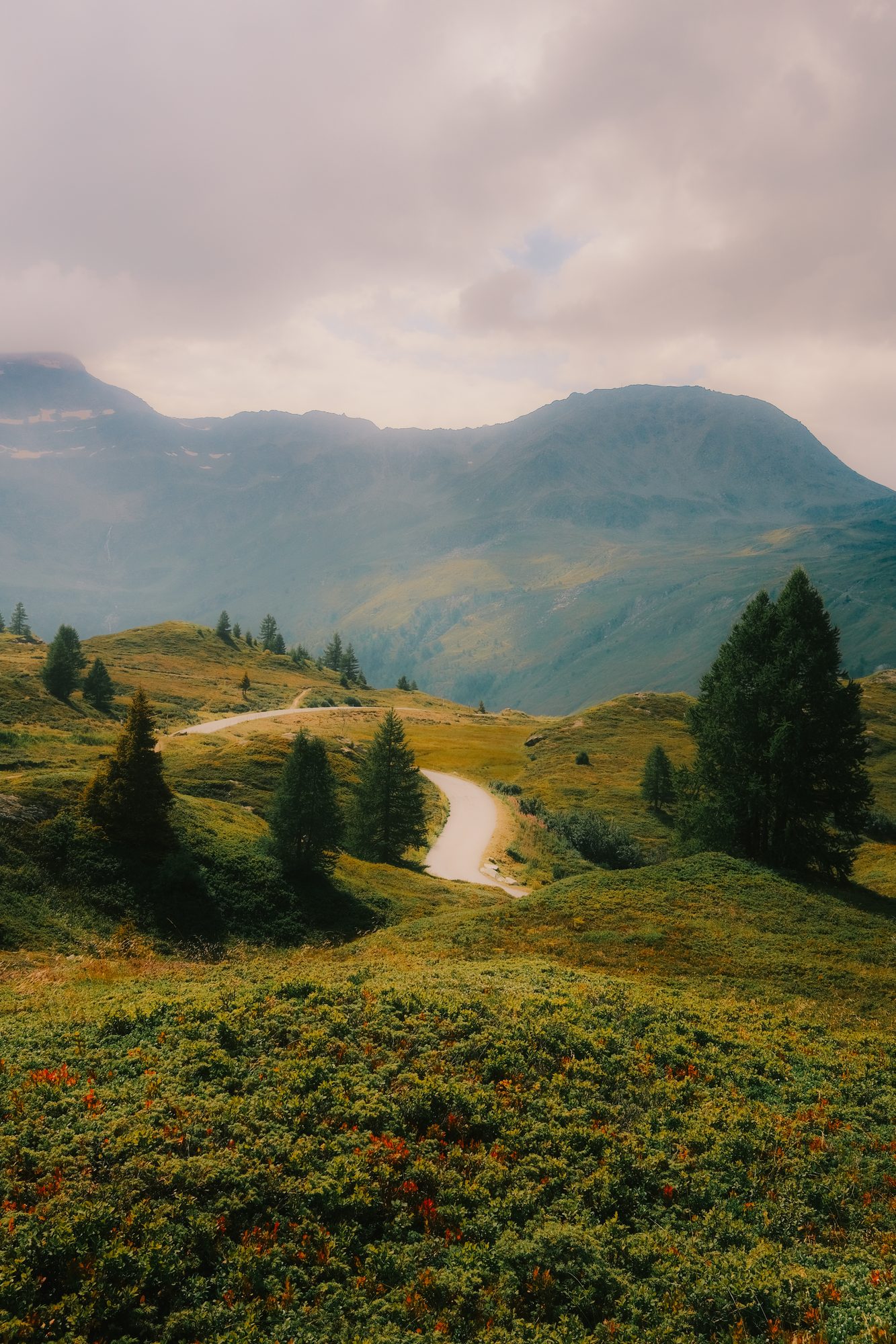No. 5 — The Swiss Valley, photograph of a misty alpine mountain landscape with winding road, Switzerland