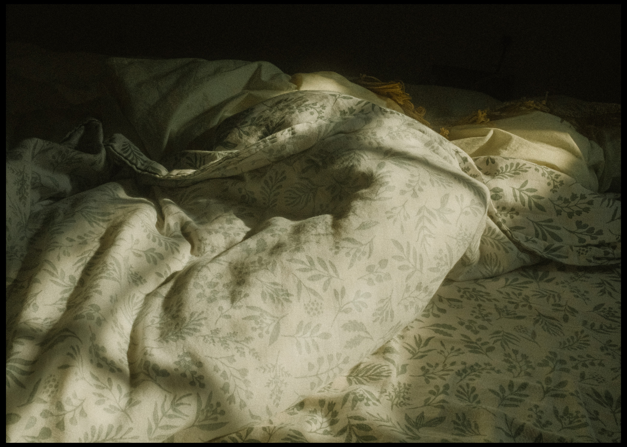 Morning light on white linen