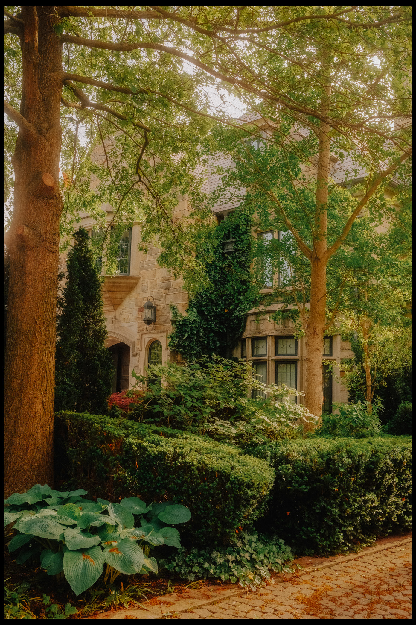 Toronto garden