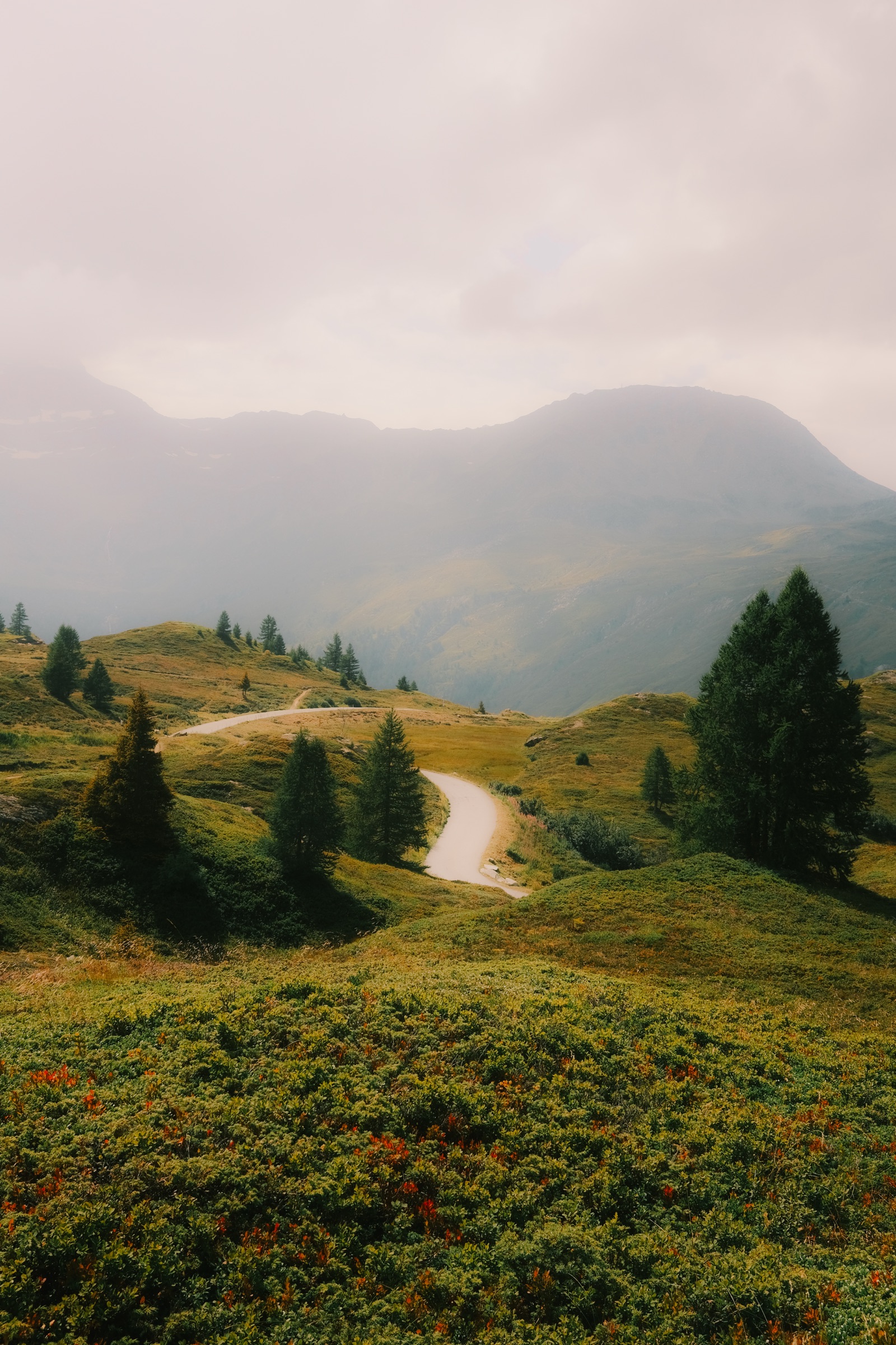 Golden hour over farmland — winery, farm and ranch photographer Carla Parietti, Ontario